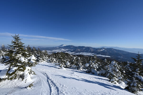 冬の登山道とスキーの跡