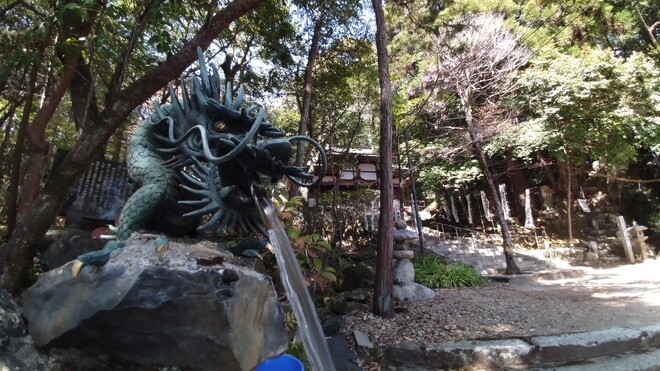 水を吐く神社の竜