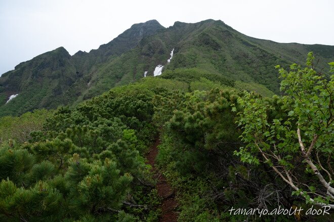 斜里岳　三井コースの登山道