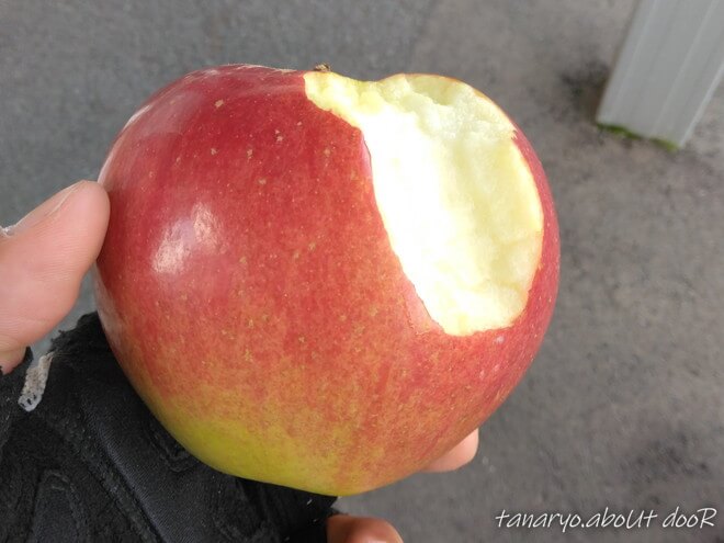丸かじりしたリンゴ
