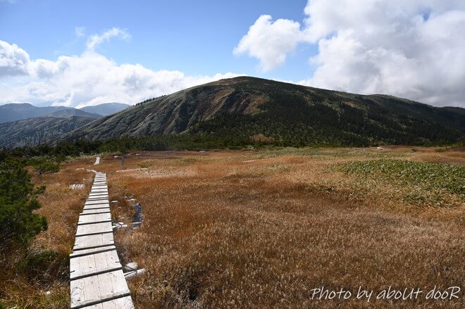 平ヶ岳登山道の稜線