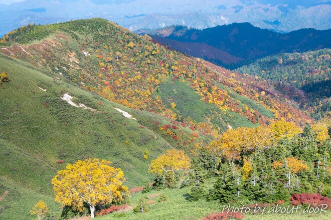 紅葉の平ヶ岳登山道