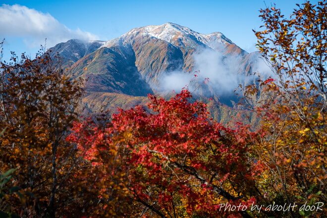 紅葉時期の越後駒ケ岳の登山道