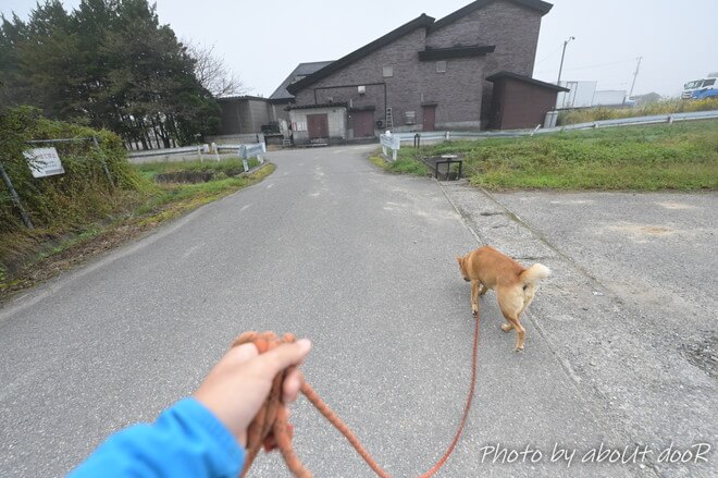 ライダーハウス　福福亭の犬の散歩